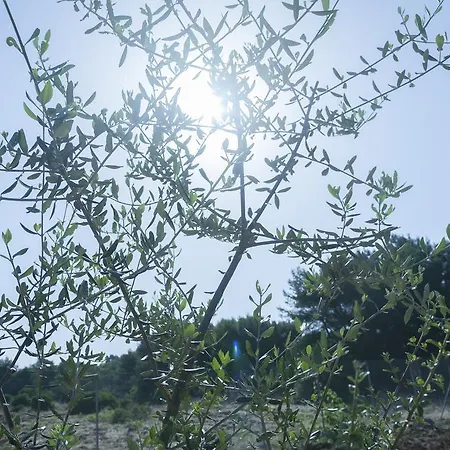A Due Passi Dal Hotel Pizzo (Salento)